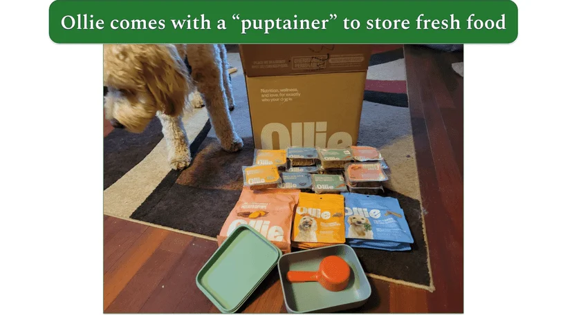 Unboxed Ollie delivery on the floor