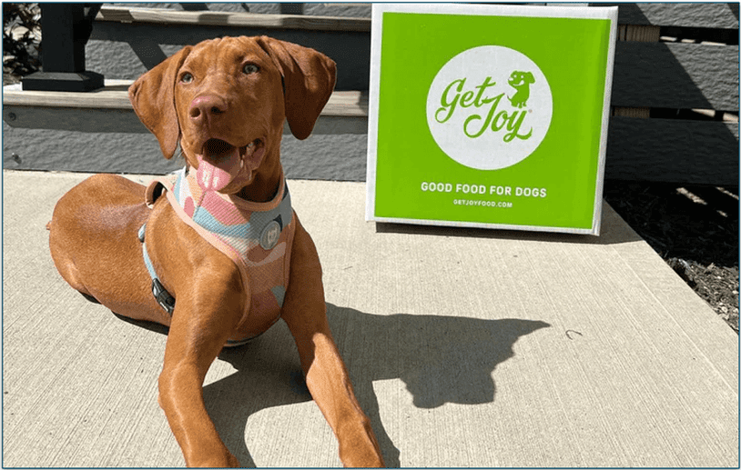 A dog lying next to a Get Joy delivery box