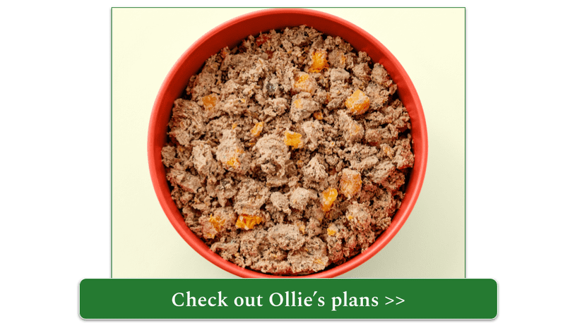 Ollie fresh lamb meal in red bowl