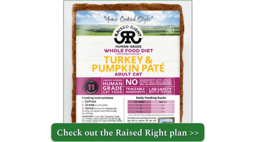 Turkey and Pumpkin Pate Adult Cat Food by Raised Right