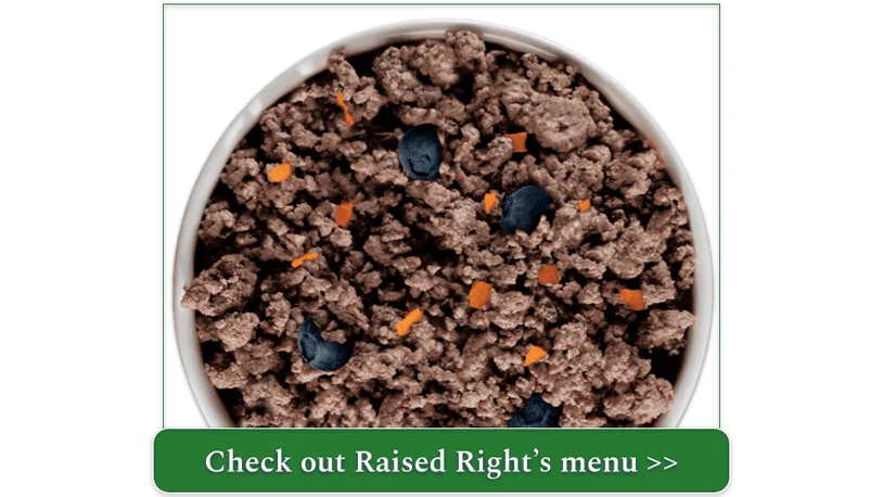 Raised Right's Original Turkey Adult Dog Recipe