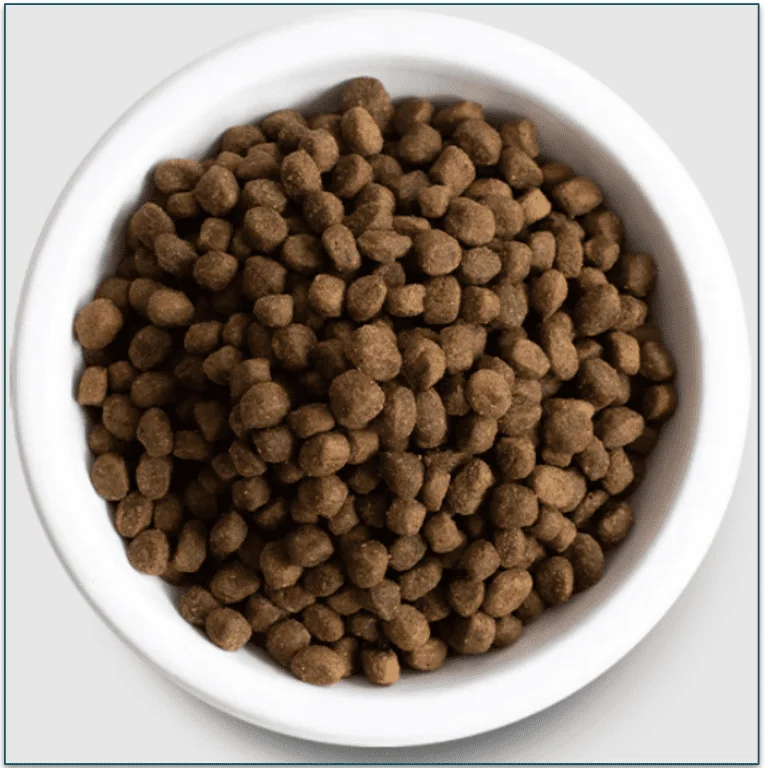 Open Farm's Grass-Fed Beef & Ancient Grains Dry Dog Food