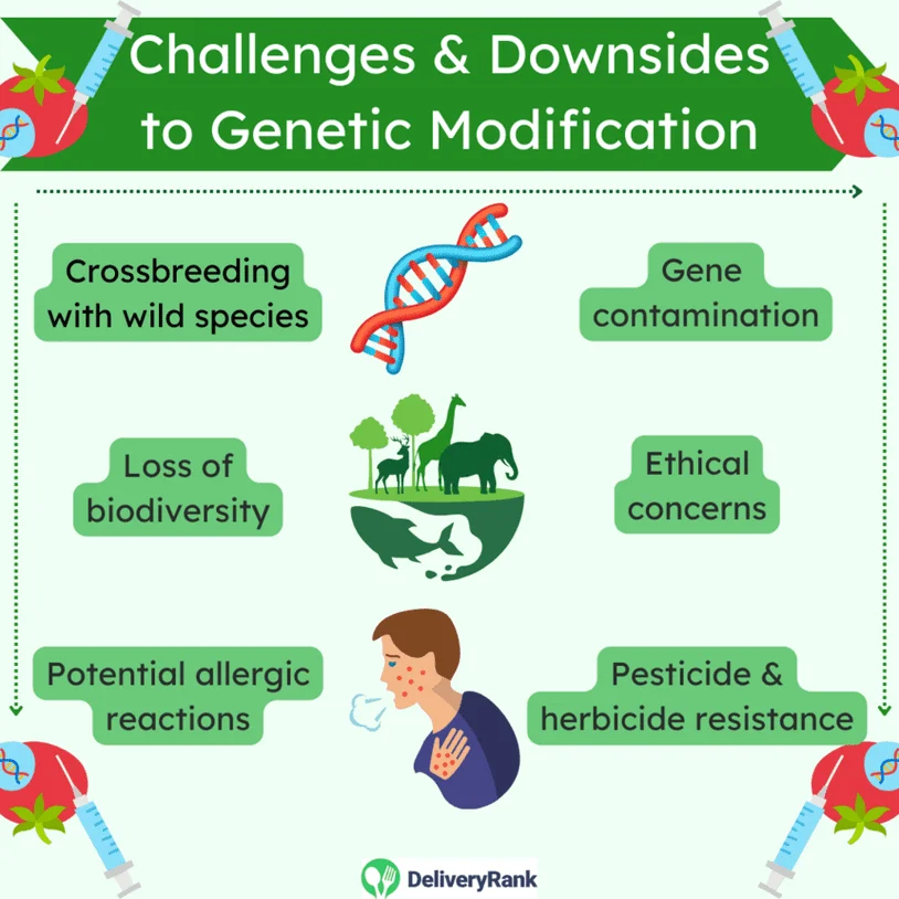 an infographic showing the potential downsides to and challenges with genetic modification