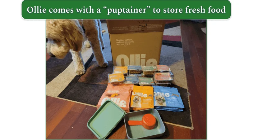 Unboxed Ollie delivery on the floor