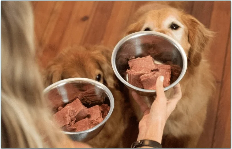 A woman feeding 2 dogs a bowl of We Feed Raw
