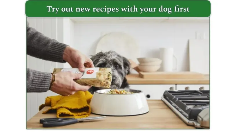 Image of The Farmer's Dog food being poured into a bowl while a dog watches expectantly