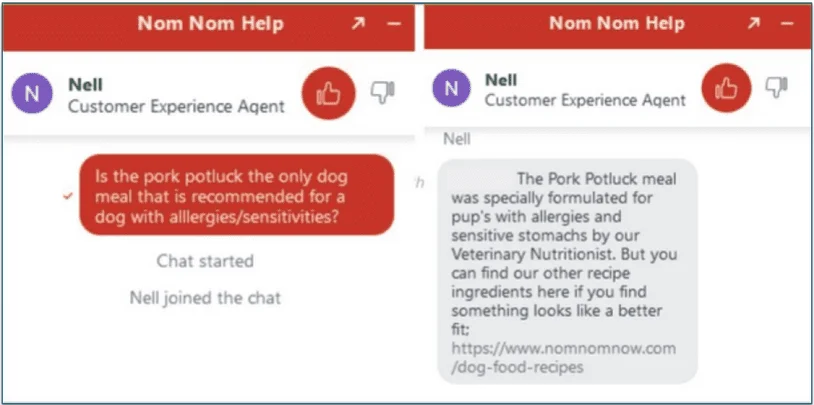 Live Chat Conversation About Allergens