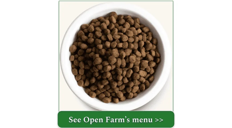 Open Farm's Wild-Caught Salmon & Ancient Grains Dry Dog Food