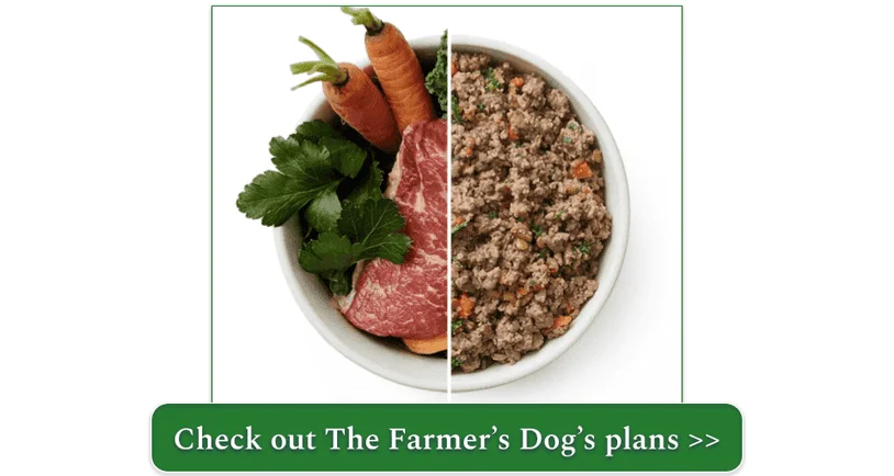 A bowl of The Farmer's Dog Beef Recipe with the ingredients used to make it