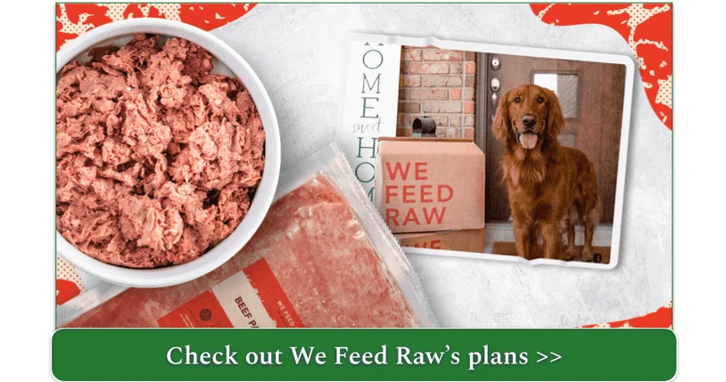 Beef Recipe by We Feed Raw