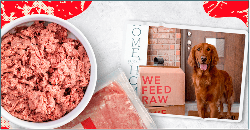 We Feed Raw's beef recipe