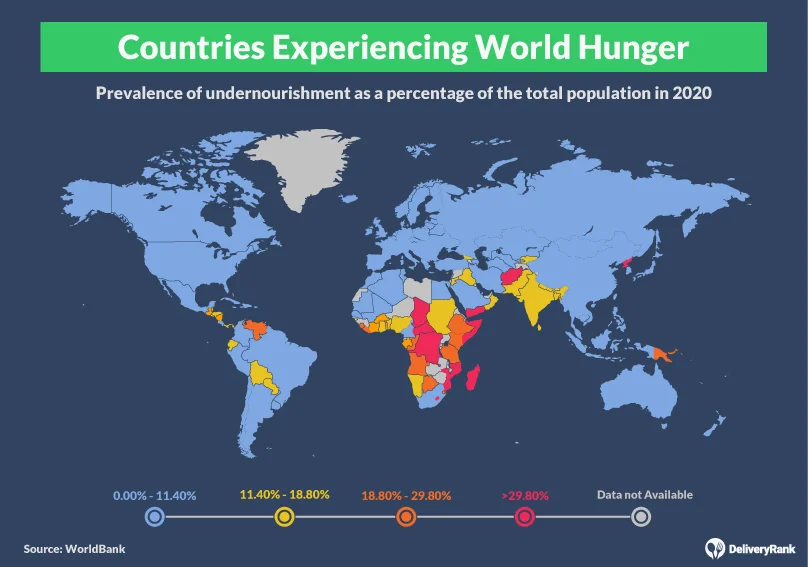 Level of undernourishment by country