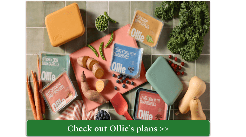 Selection of fresh Ollie meals