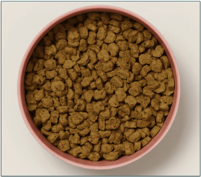 Check out the Ollie menu >>