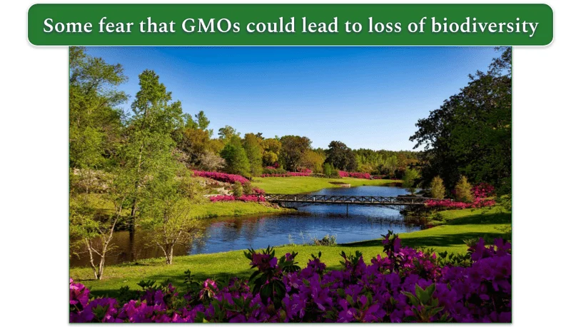 a photo of a river, some shrubgs, and a bridge