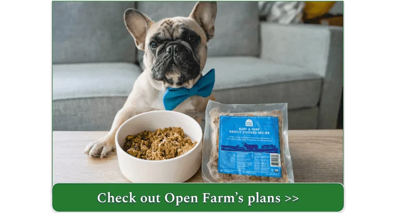 A French Bulldog wearing a bowtie as he prepares to eat his Open Farm Surf & Turf Cooked Recipe meal