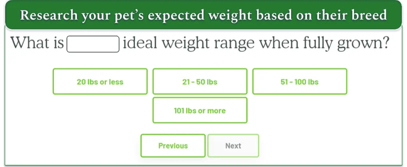 Get Joy's dog food personalization quiz