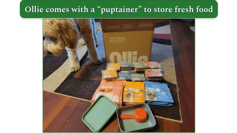 Unboxed Ollie delivery on the floor