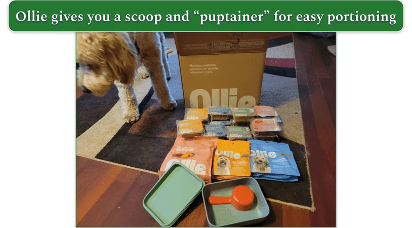 Unboxed Ollie delivery on the floor