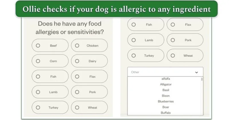 A picture of Ollie’s menus for dog allergies
