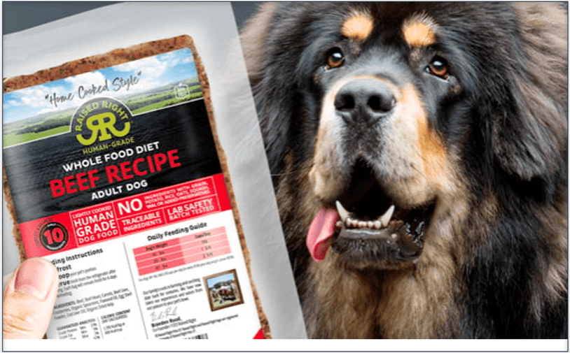 A Tibetan Mastiff looking at a pouch of Raised Right Beef Recipe