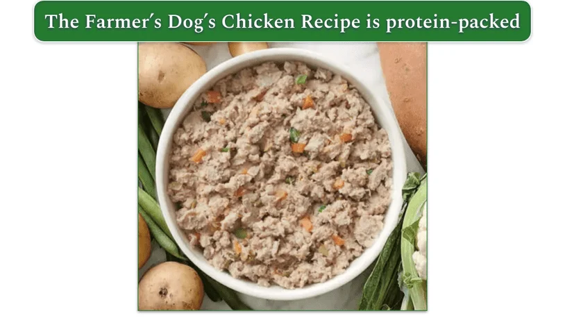 the farmer's dog chicken recipe