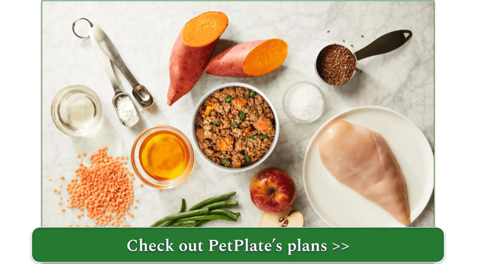 a fresh petplate meal surrounded by ingredients