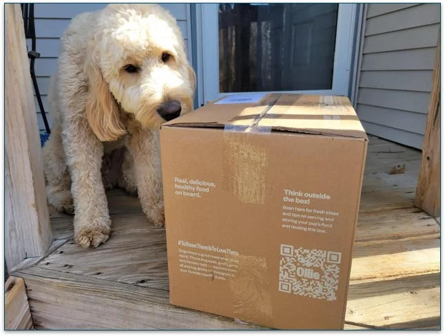 Baxter couldn’t wait to check out Ollie’s food