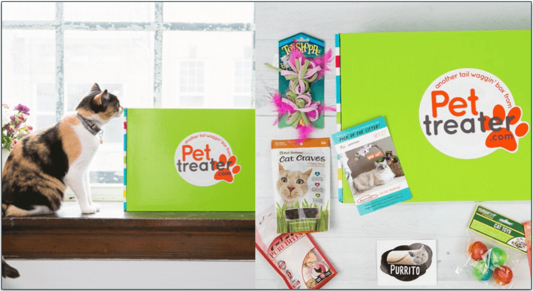 A cat sniffing a Pet Treater box and the contents of the Multi-Cat Pack