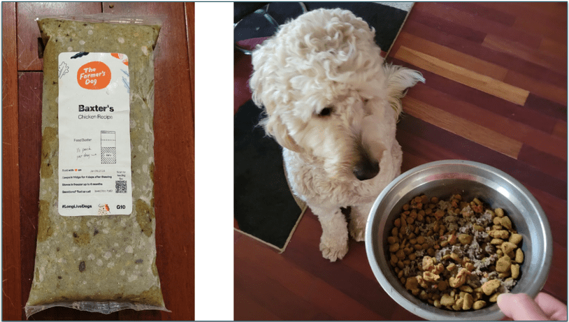 A pack of TFD's Chicken recipe and Baxter the goldendoodle waiting to be served his food