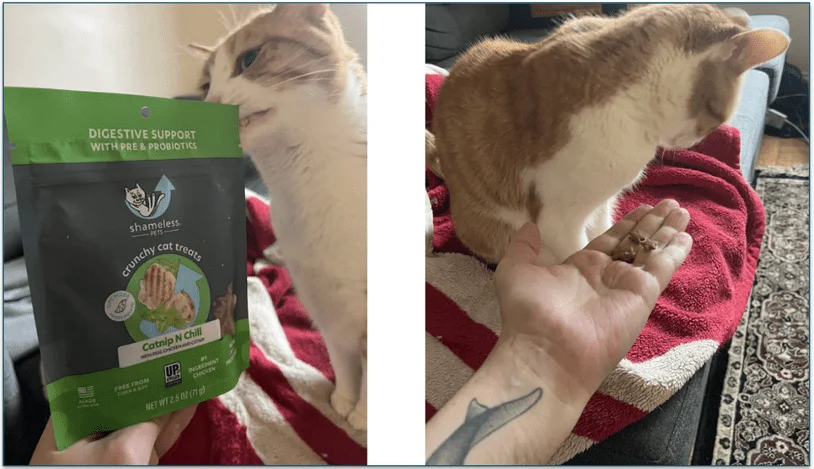 Photo of Alvy investigating the pack of treats next to a photo of him turning away when the treats are offered to him