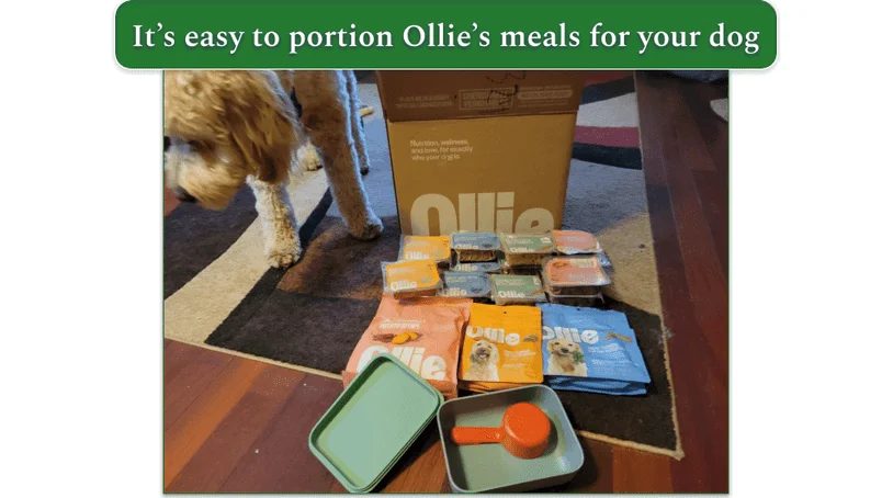 Packed bags of Ollie's meals for dogs