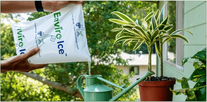 A thawed package of Enviro Ice being poured into a watering can for plants