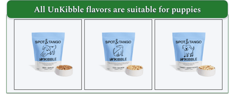 Screenshot of Spot & Tango’s UnKibble page showing 4 recipes listed