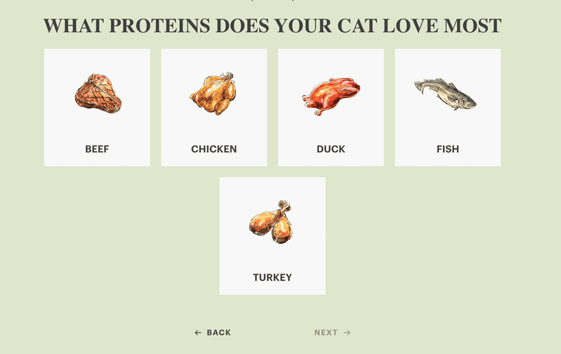 THK’s quiz asks a range of questions about your cat