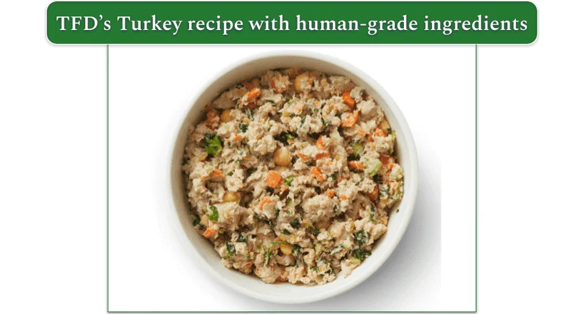 A bowl of TFD's Turkey recipe