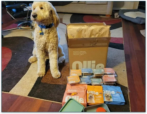 My colleague chose the Mixed plan for Baxter