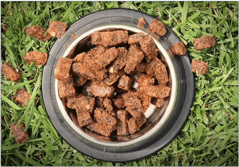 A bowl of Yumwoof food on the grass
