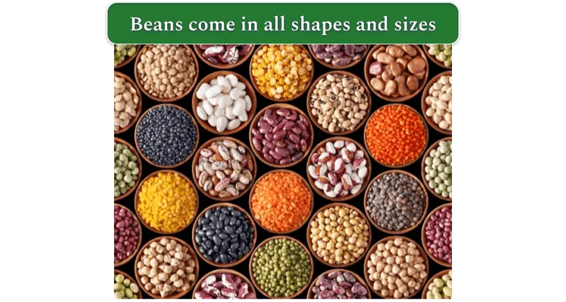 Image of a variety of beans in bowls and pots