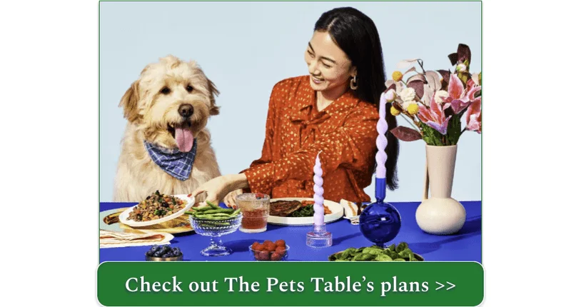 A dog sitting at the table with their owner, who is dishing out a plate of The Pets Table Beef Stew with Carrots