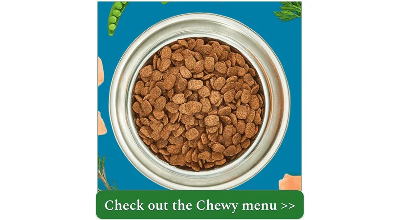 Image of one pf Chewy's many dry dog food recipes