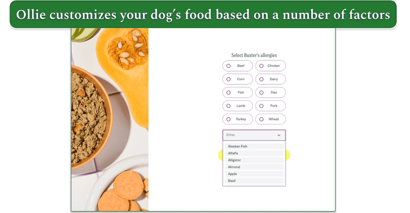 Ollie's customization page for allergies in the sign up quiz