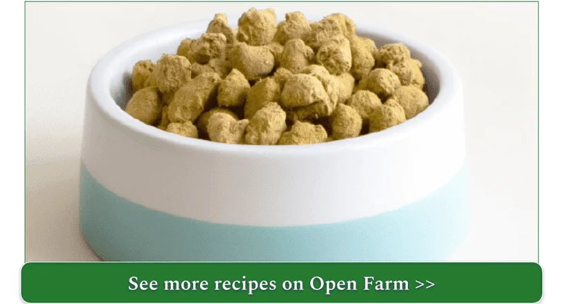 Open Farm's freeze-dried raw recipe in a bowl