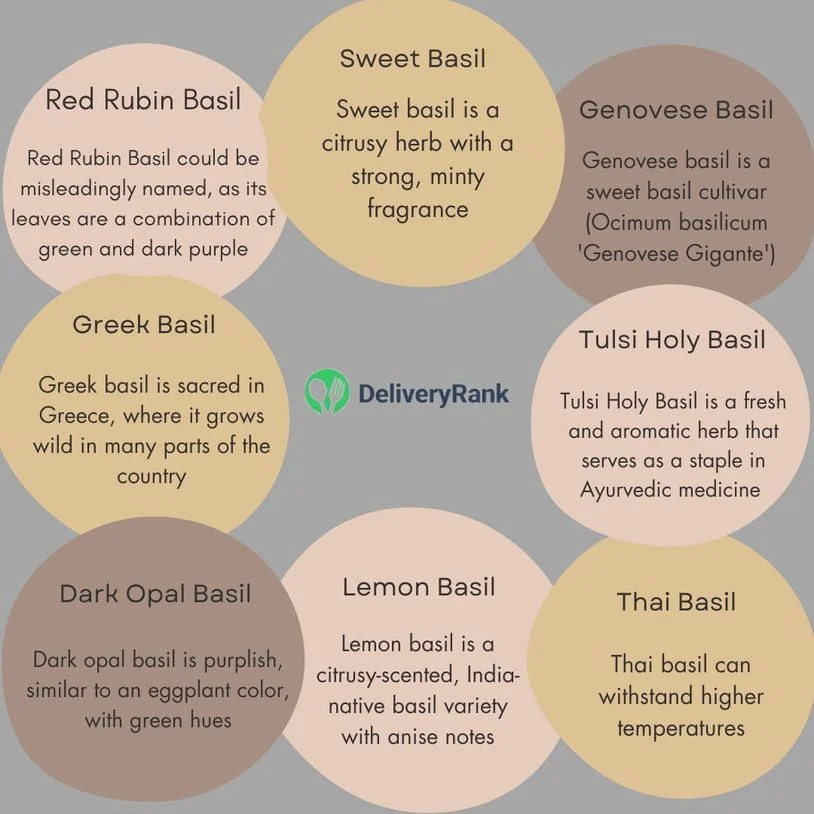 infographic showing 8 different types of basil