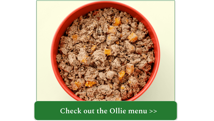 Ollie fresh lamb meal in red bowl