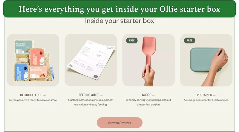 Ollie's starter box contents