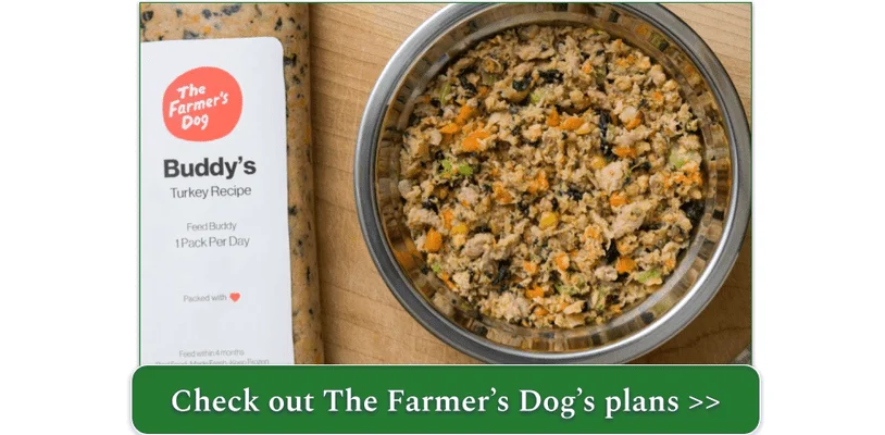 A bowl of The Farmer's Dog Turkey recipe with a personalized package for Buddy beside it.