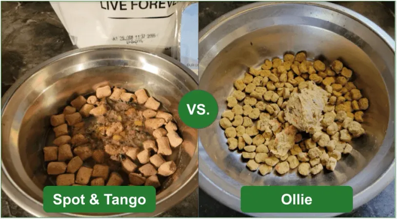 Spot & Tango and Ollie offer ready to eat recipes, fresh and dry