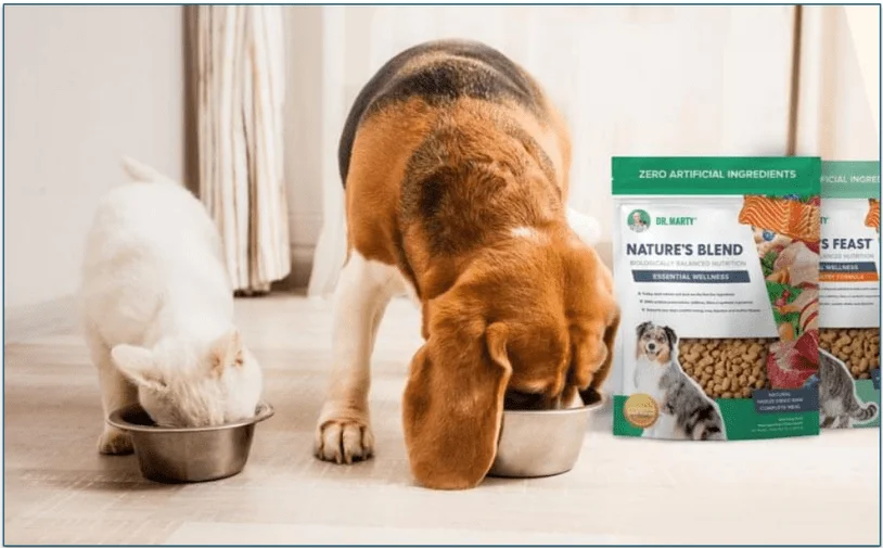 A dog and a cat eating the Essential Wellness recipe