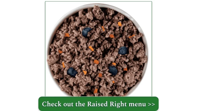 Raised Right's fresh dog meal